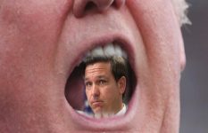 The Week The 2024 Primary Ended